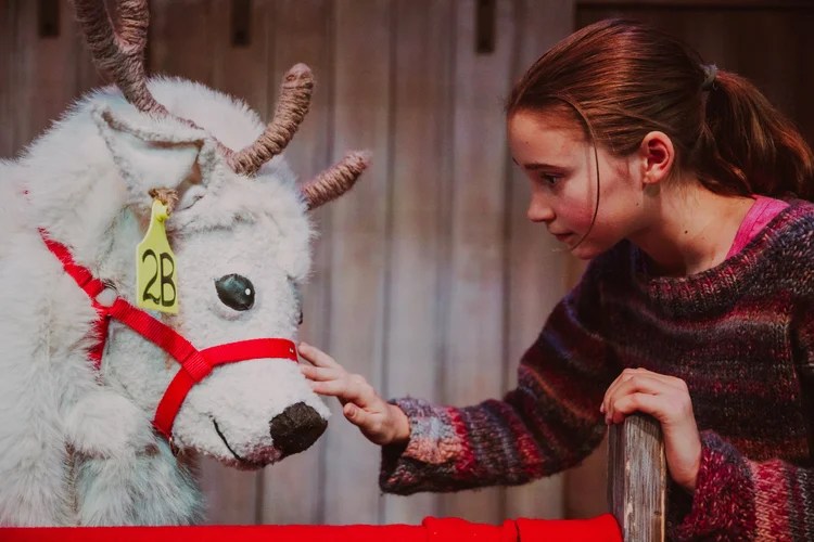 Here For Now Theatre review: Ruby and the Reindeer is a fun, heartfelt and local holiday&nbsp;story