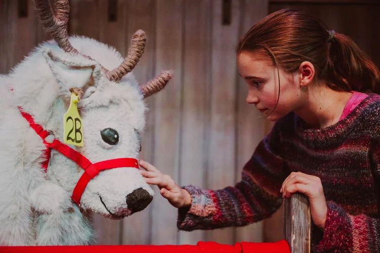Here For Now Theatre review: Ruby and the Reindeer is a fun, heartfelt and local holiday story