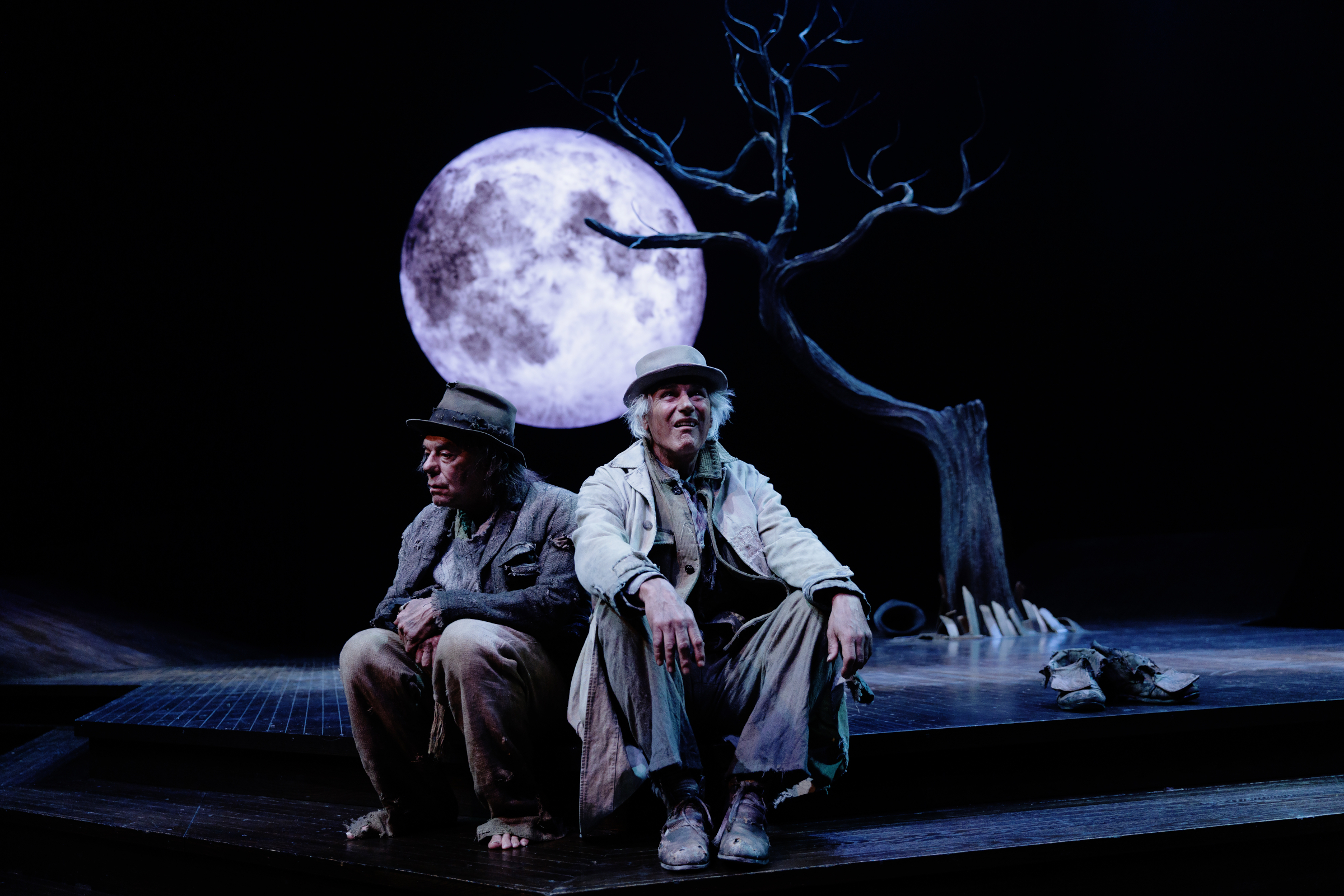 Stratford Festival review: Paul Gross and Tom McCamus excel amid the absurdist humour of Waiting for Godot